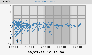 Wind Vector