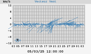 Wind Vector