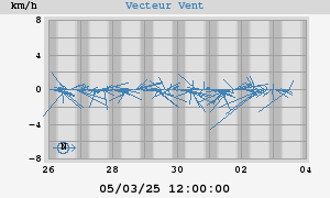 Wind Vector