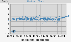 Wind Vector